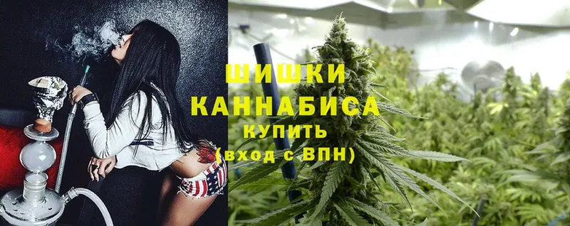 Шишки марихуана THC 21%  Микунь 